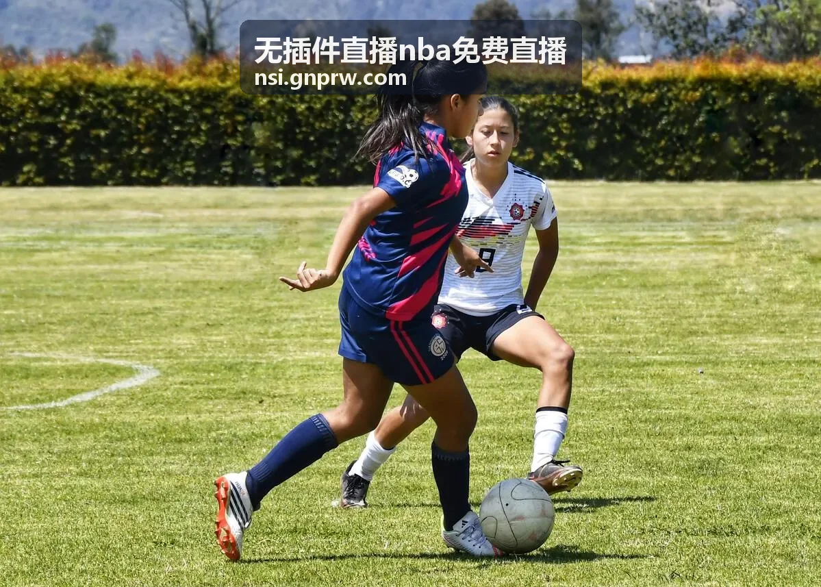 中国队篮球比赛在线观看